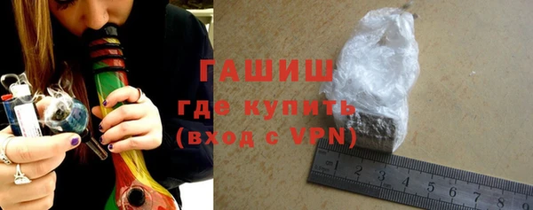индика Тавда