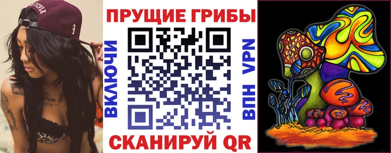 Галлюциногенные грибы Magic Shrooms  закладка  Усть-Кут 