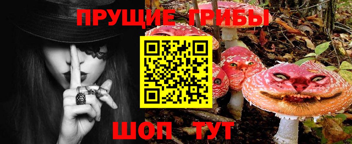 Галлюциногенные грибы прущие грибы  Вход с VPN  купить  сайты  Усть-Кут 