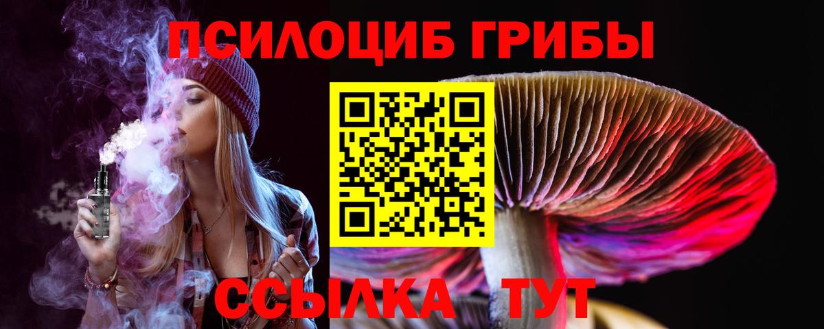 Галлюциногенные грибы мицелий Усть-Кут